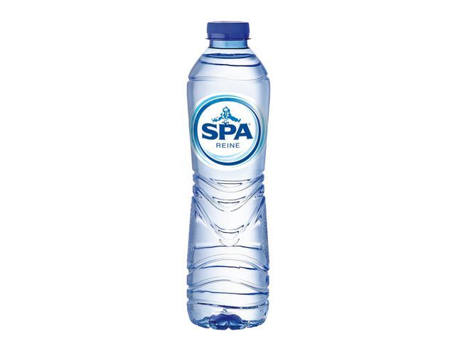 SPA REINE BLEU PET 50CL