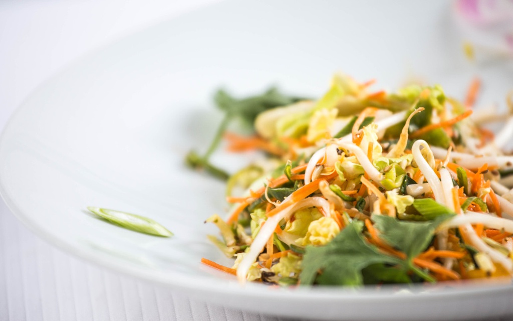 SALADE THAI NATURE : CAROTTES / SOJA / POIVRONS / CHOU CHINOIS / VINAIGRETTE