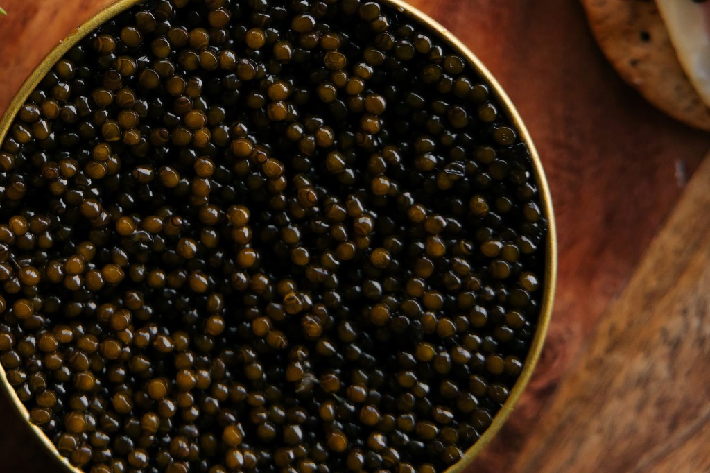 ITALIAN CAVIAR : ACIPENSER BAERI 