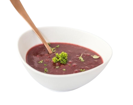 JUS BRUN A L ECHALOTE VINAIGREE (400 ml)