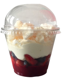 [7119 - 92 / FTK] PAVLOVA ON THE GO